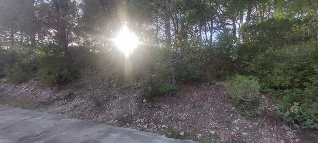 Plac,  Tivat 