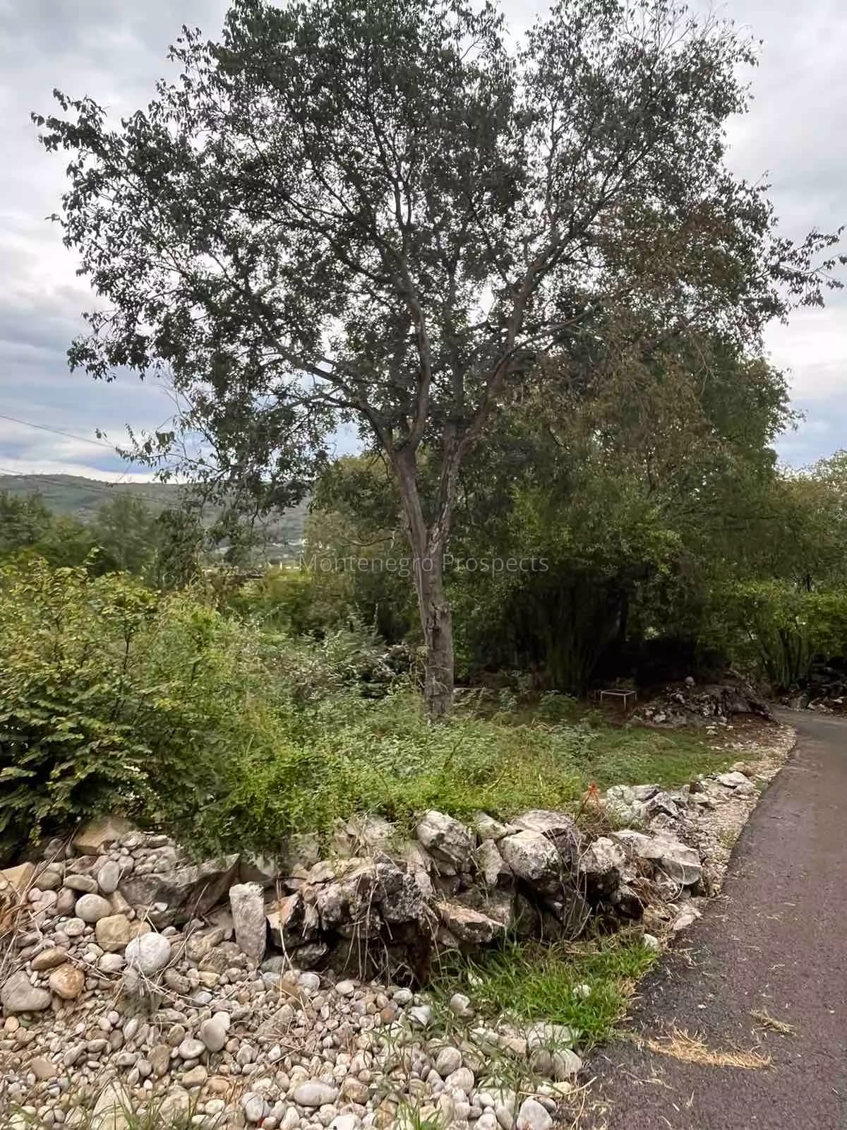 Kuća za renovaciju Beri, Podgorica